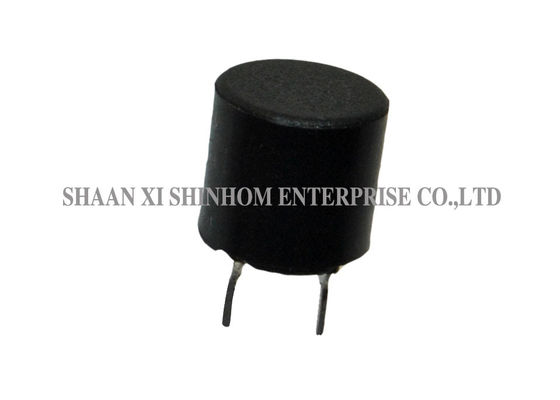 Choke không được che chắn thông qua lỗ nhựa cảm ứng DIP Vỏ nhựa