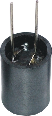 Thông qua lỗ Dip Điện cuộn dây cuộn cảm được bảo vệ bằng Ferrite